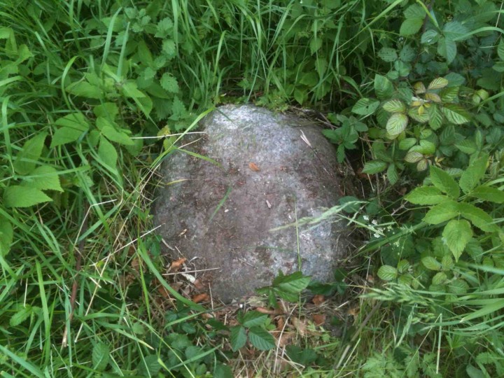 Ridgwell erratic boulder 1 Copyright: Gerald Lucy