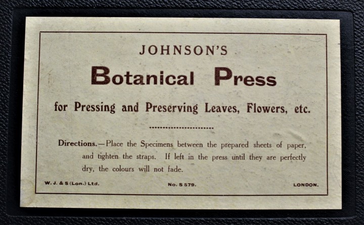 Johnson's Botanical Press circa 1920s label Copyright: William George