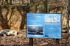 Thorndon Country Park geological interpretation board