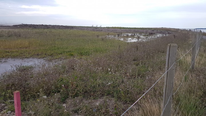 Farmland Restoration Copyright: Malcolm Riddler