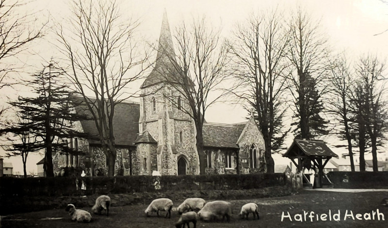 Hatfield Heath Church Copyright: William George