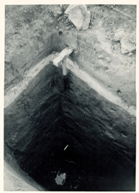 Aveley Mammoth Excavation 1964 9 Copyright: Graham R Ward Archive 