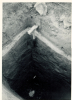 Aveley Mammoth Excavation 1964 9 