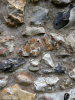 Sible Hedingham Church Hertfordshire Puddingstone 2025