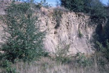 Mill Wood Pit sand faces Copyright: Peter Harvey