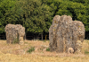 Tilty Abbey Ruins 36 17 June 2025 