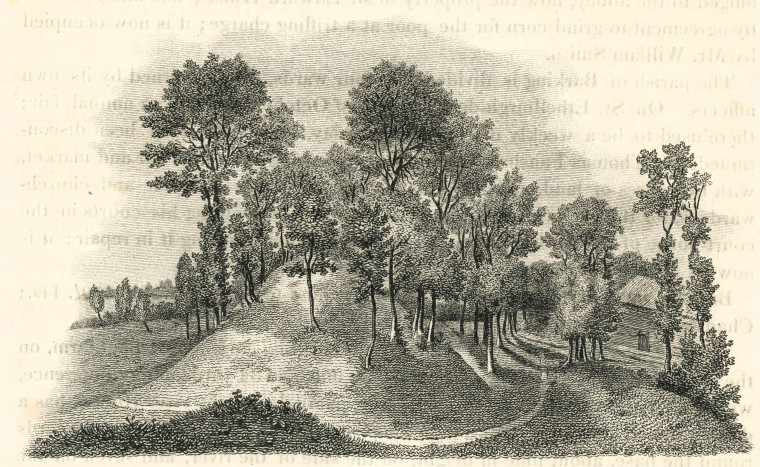 Ilford Uphall Camp Lavender Mount Ogborne 1817 Copyright: Elizabeth Ogborne History of Essex 1817