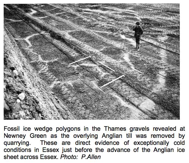 Newney Green Pit ice wedge polygons Copyright: 