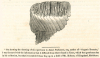 Ilford Mammoth Tooth Ogborne 1817 