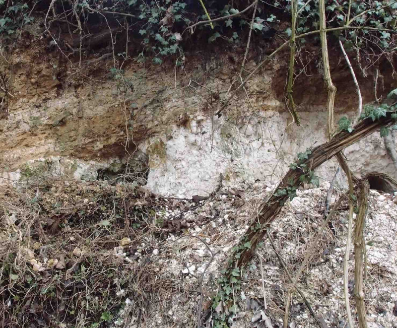 Debden Road Chalk Pit - junction of chalk and boulder clay Copyright: Gerald Lucy