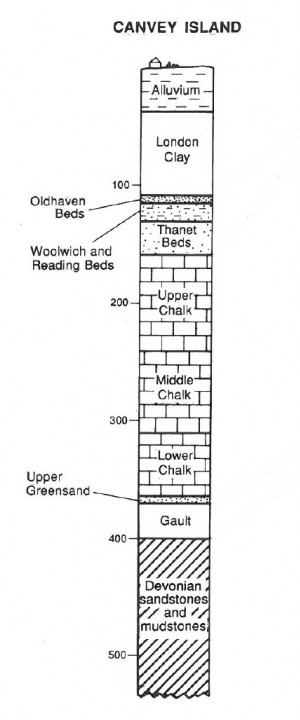 The succession in the Canvey Island borehole (scale in metres). Copyright: Gerald Lucy