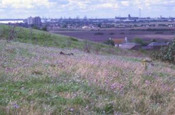 View of grassland scarp