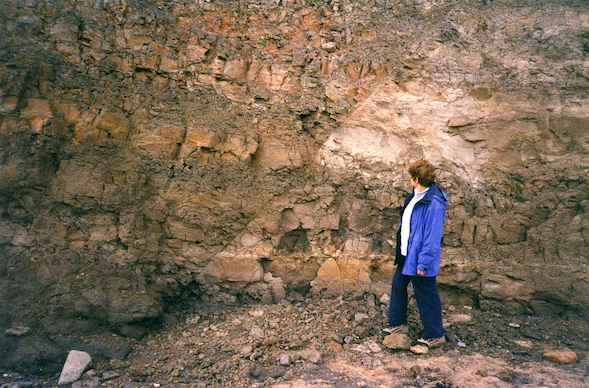 Fault in the London Clay in the Naze cliffs. Copyright: Gerald Lucy