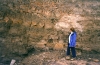 Fault in the London Clay in the Naze cliffs. 