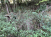 Disused modern lime kiln on west side