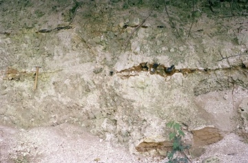 Pinchpools Chalk Pit in 1980 Copyright: Photo Â© British Geological Survey (P212605).