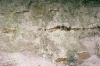 Pinchpools Chalk Pit in 1980