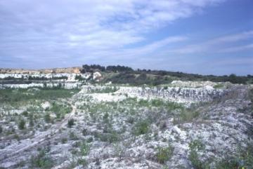 Wouldhams Quarry in 1985 Copyright: Peter Harvey