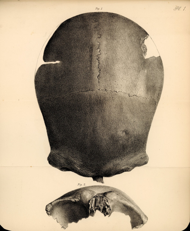 Tilbury Man Skull Owen 1884 Copyright: Richard Owen Antiquity of Man 1884