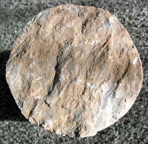 Stutton Bore Core Fragment Copyright: William George