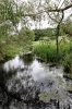 The River Roding 2 - (20 May 2011) 