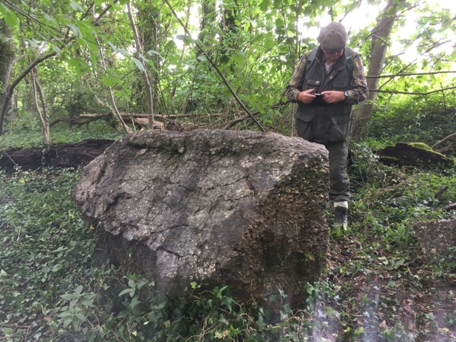 Farnham Wood Puddingstone Copyright: Gerald Lucy