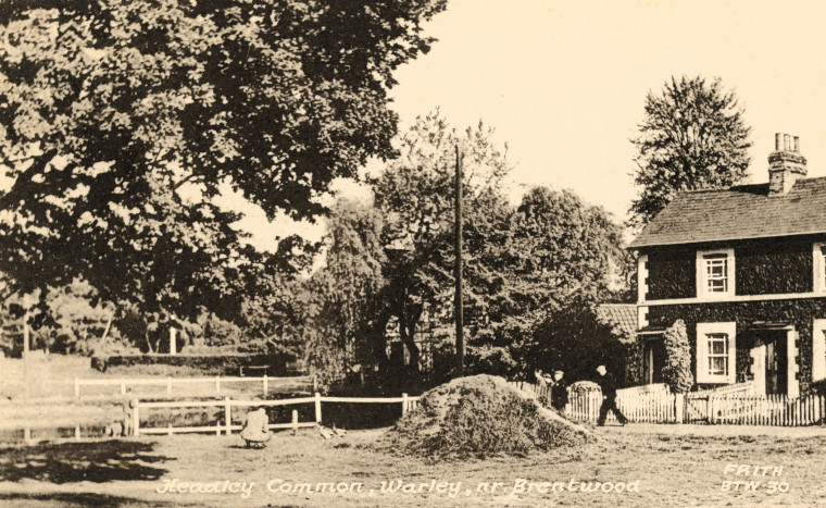 Warley Headley Common near Brentwood Copyright: William George