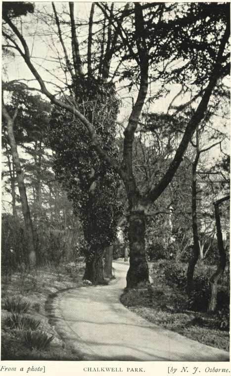 Chalkwell Park N J Osborne 1910 Copyright: T Northcott Spurll Southend 1910