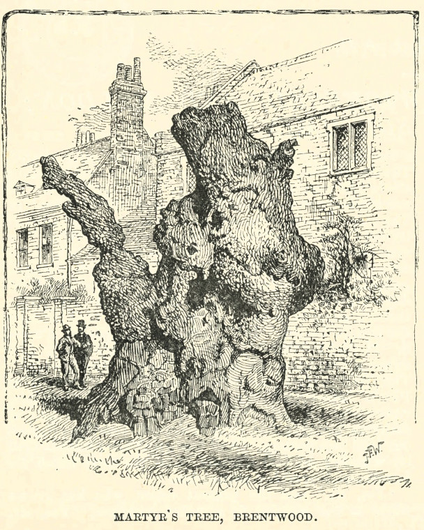 Brentwood Martyr Tree Essex Holidays Lindley 1898 Copyright: JFW
