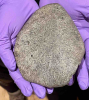 The Ashdon meteorite 