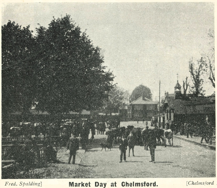 Chelmsford Market Day F Spalding Homeland 1908 Copyright: Fred Spalding