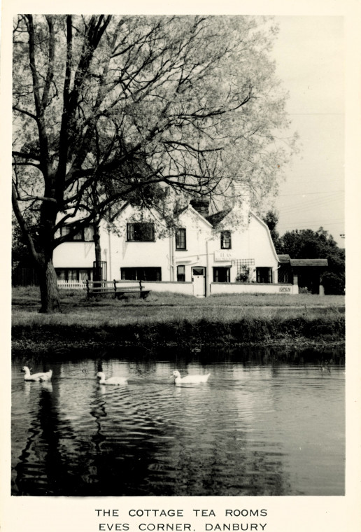 Danbury Eves Corner Tea Rooms Copyright: William George
