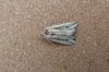 L-album Wainscot 