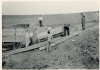Aveley Mammoth Excavation 1964 5 