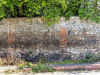 Wendens Ambo Wall 2 7 August 2022