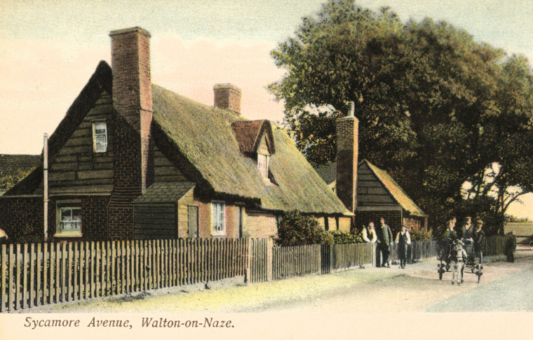 Walton on the Naze Sycamore Avenue Copyright: Post Card