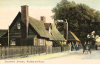 Walton on the Naze Sycamore Avenue 