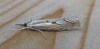 Agriphila geniculea. Copyright: Stephen Rolls