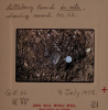 Littlebury Late Bronze Age Hoard M11 9 July 1978 slide 12 