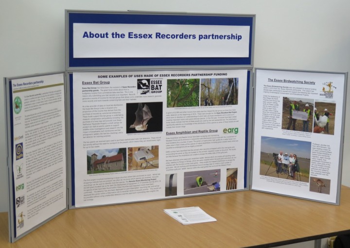 Essex Recorders partnership display Copyright: Peter Harvey