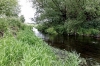 The River Roding - (20 May 2011) 