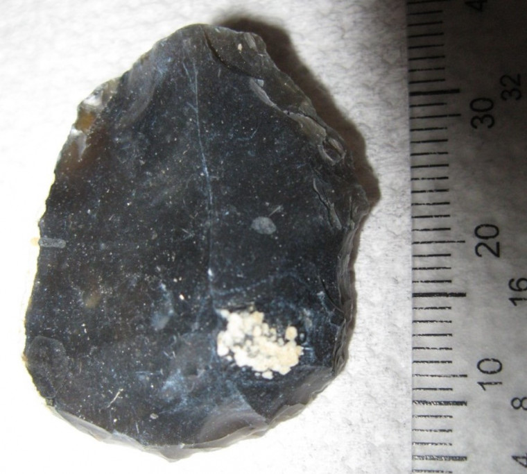 Neolithic Scraper Wrabness Essex flint Copyright: William George