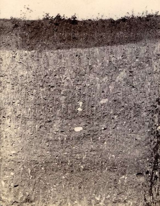 Shire Hill boulder clay pit in 1911 Copyright: Geologists Association