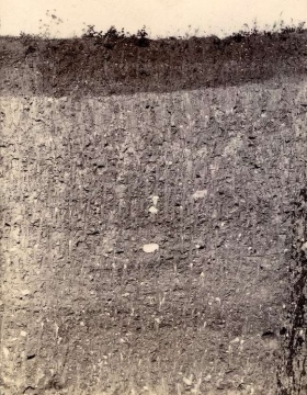 Shire Hill boulder clay pit in 1911 Copyright: Geologists Association