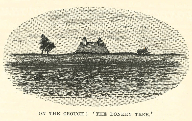 Crouch Donkey Tree Essex Holidays Lindley 1898 Copyright: Essex Holidays Lindley 1898