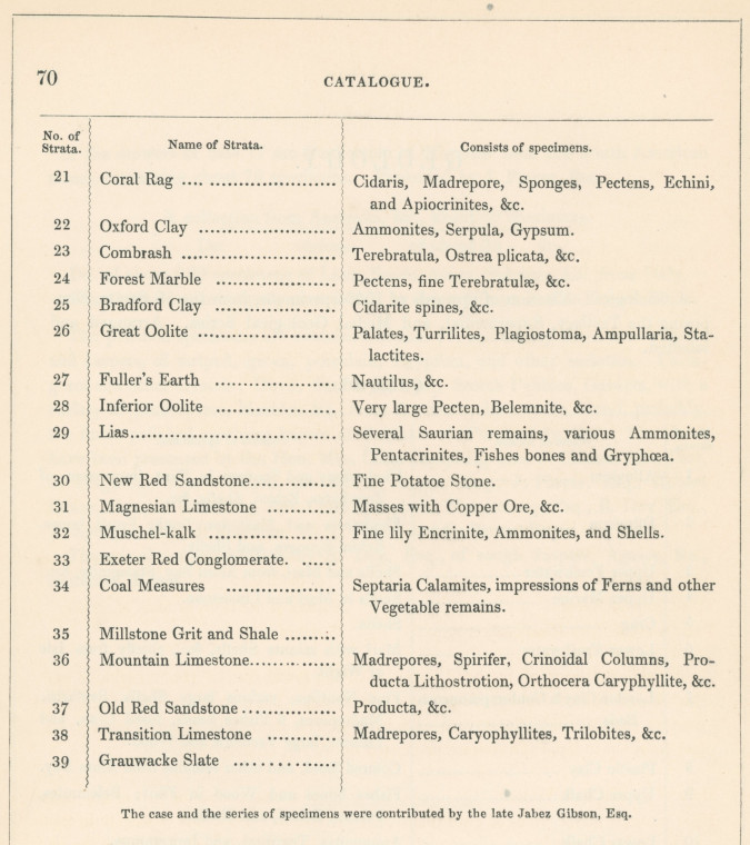 Saffron Walden Museum Geology Catalogue 2 1845 Copyright: Abridged Catalogue of Saffron Walden Museum 1845