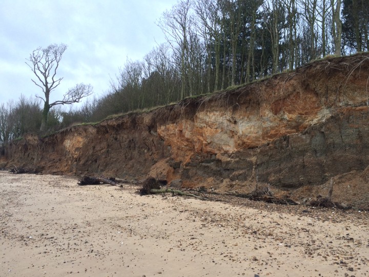 Cudmore Grove Cliffs - fresh erosion Copyright: Lucy Heath