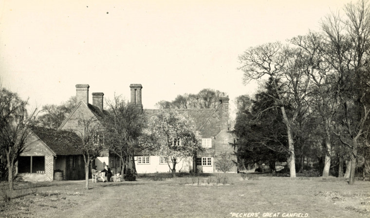Great Canfield Peckers Post Card Copyright: William George