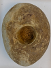 Bourgueticrinus ellipticus crinoid calyx flint mould 4809 