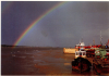 Mistley Mark Mitchels 1992 